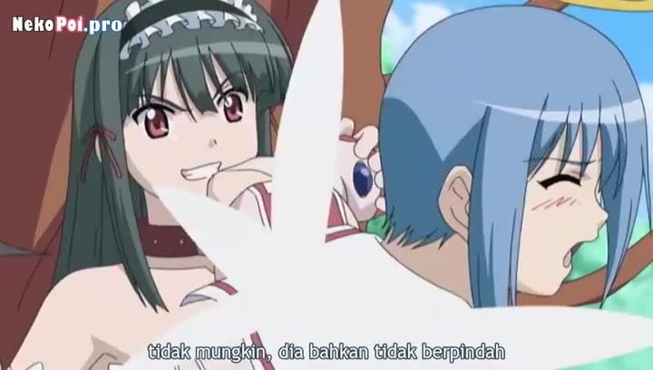 Shibari