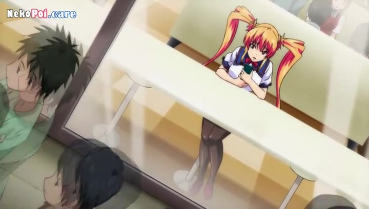 Exhibitionist
